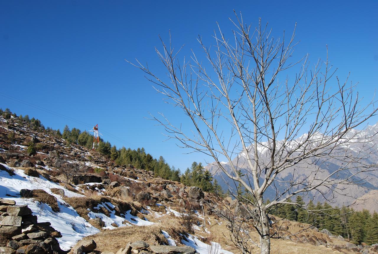 Auli Resort Joshimath Exterior photo